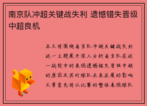 南京队冲超关键战失利 遗憾错失晋级中超良机